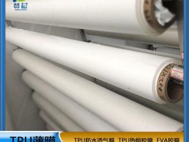 TPU聚酯環保防水高透濕薄膜厚0.03mm功能薄膜生產廠家免費拿樣